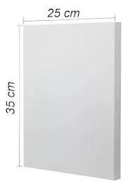 LIENZO 25 X 35