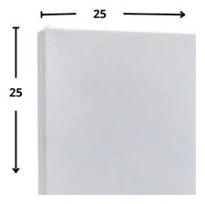 LIENZO 25 X 25