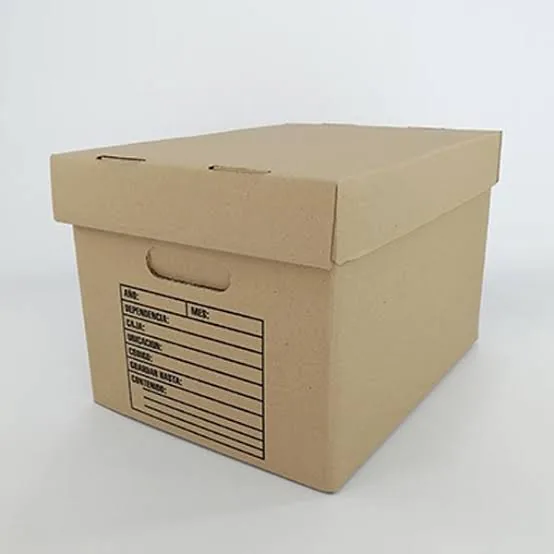 CAJA DE ARCHIVO X300 TAPA Y BASE
