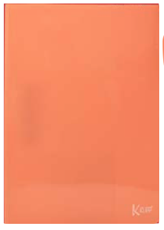 CARPETA SEGURIDAD PLÁSTICA UNICOLOR