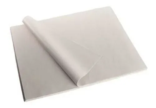 PLIEGO DE PAPEL PERIODICO