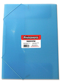 CARPETA SEGURIDAD DISEÑOS