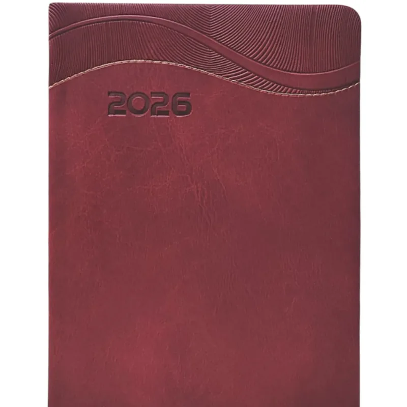 AGENDA DIARIA MAESTRO