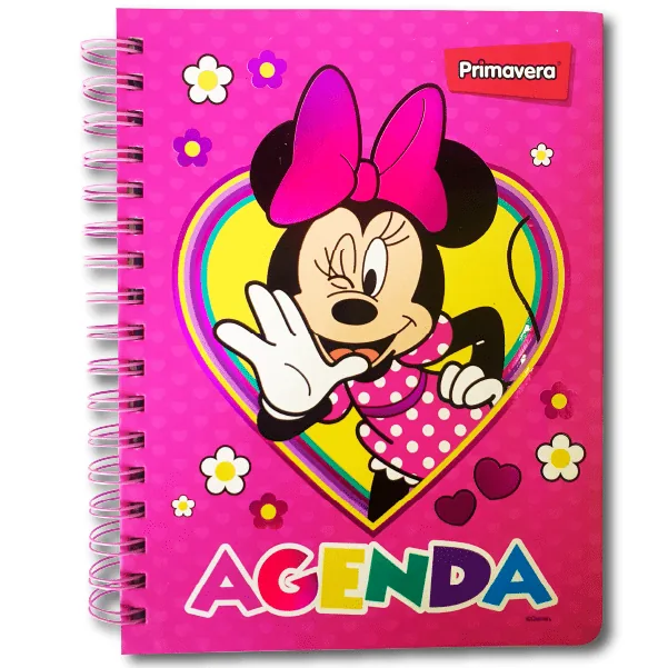 AGENDA 5 MATERIAS 95